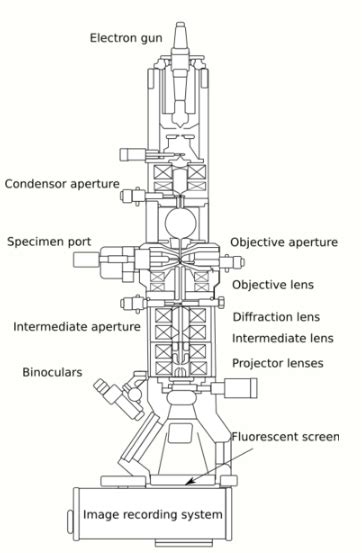 electron microscope drawing|electron microscope wikipedia.